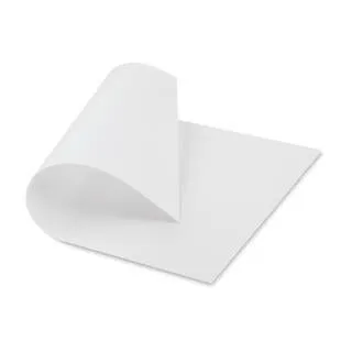 Canson Ingres Drawing Paper Sheet 19"x25" - White
