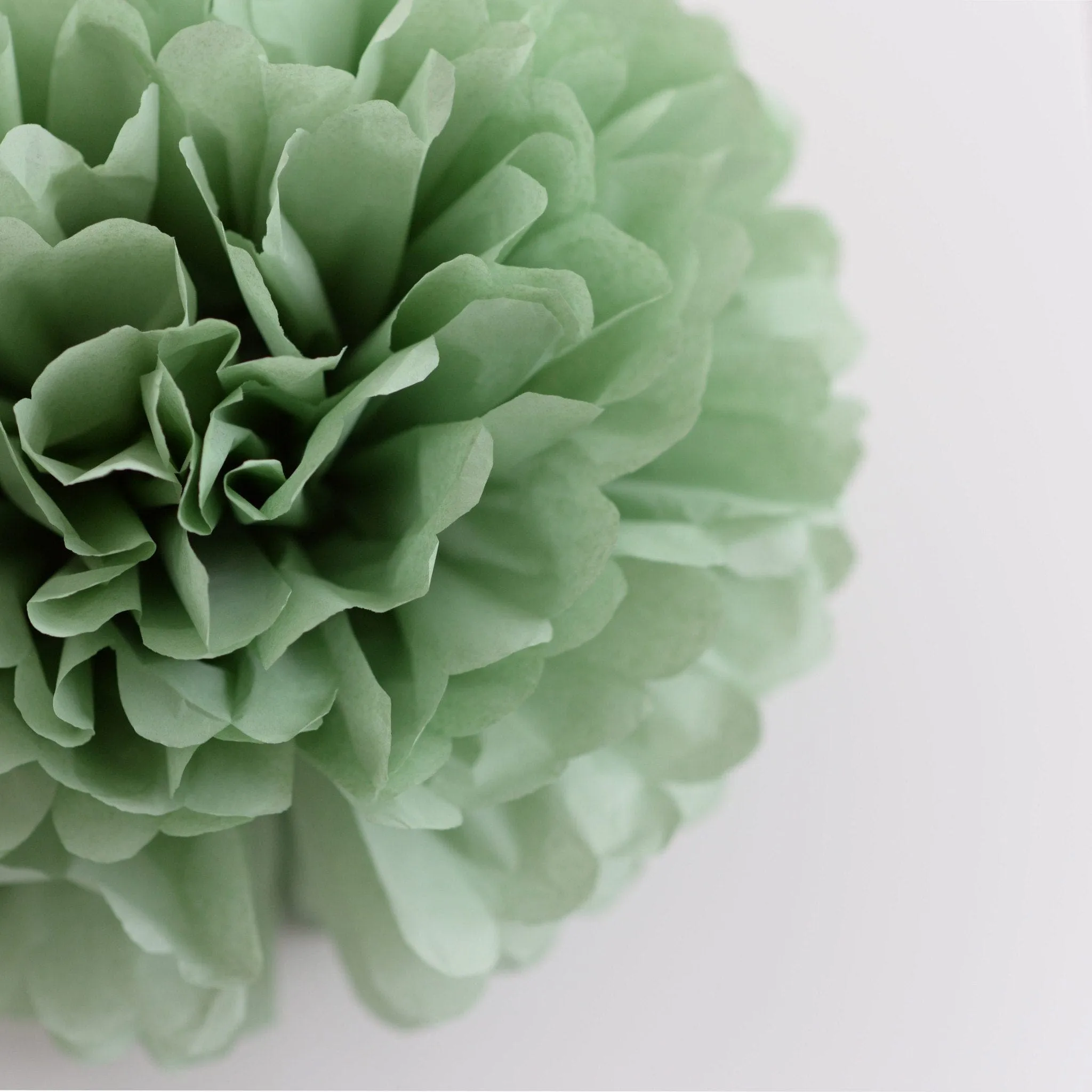 Dusty green / cedar green tissue paper pom pom party decorations
