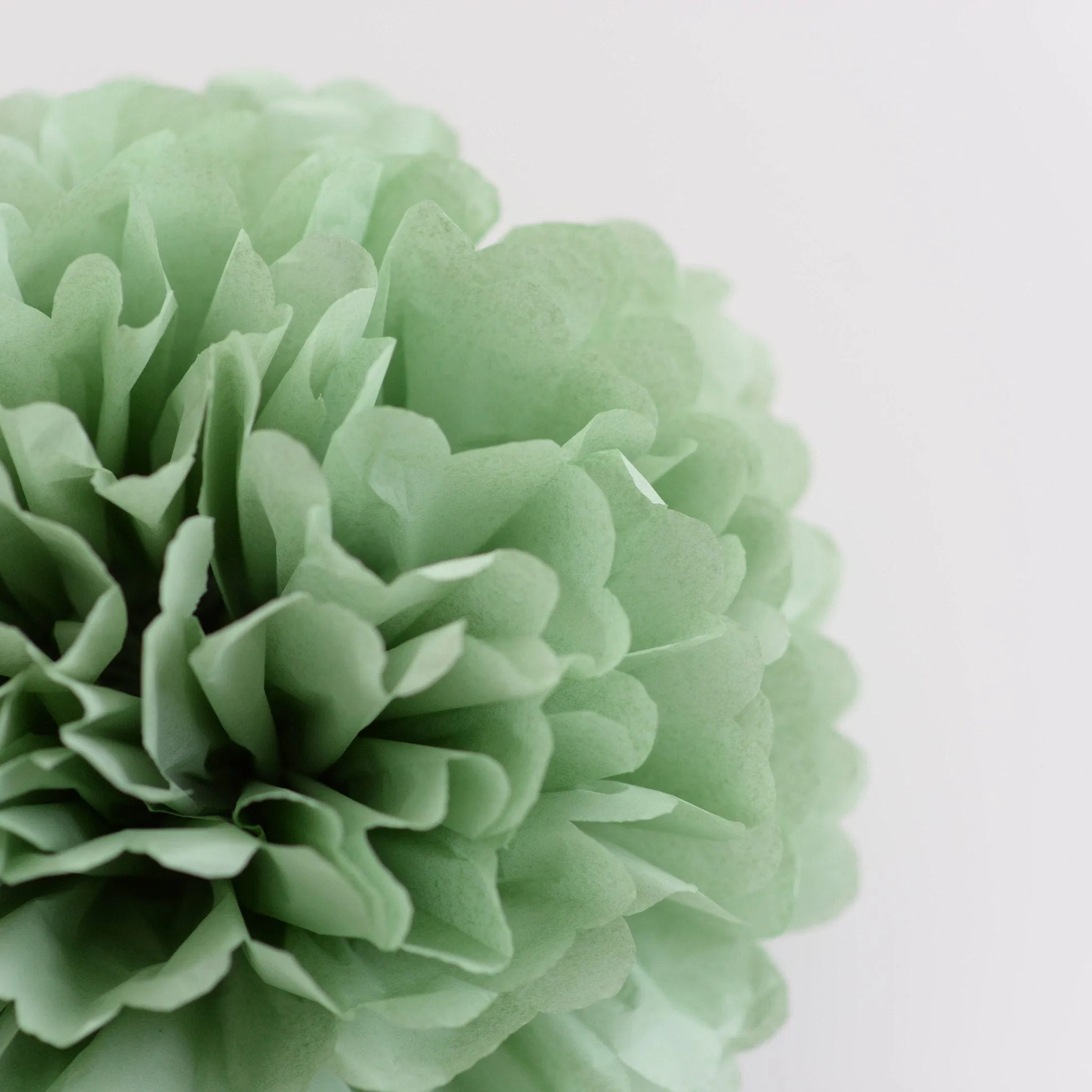 Dusty green / cedar green tissue paper pom pom party decorations