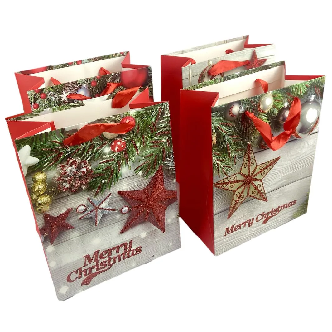 Luxury Christmas Gift Bag