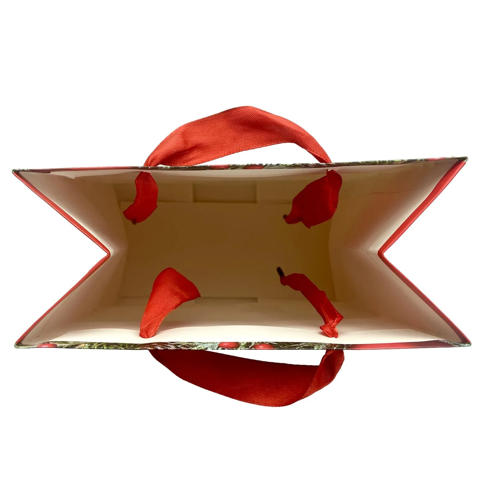 Luxury Christmas Gift Bag