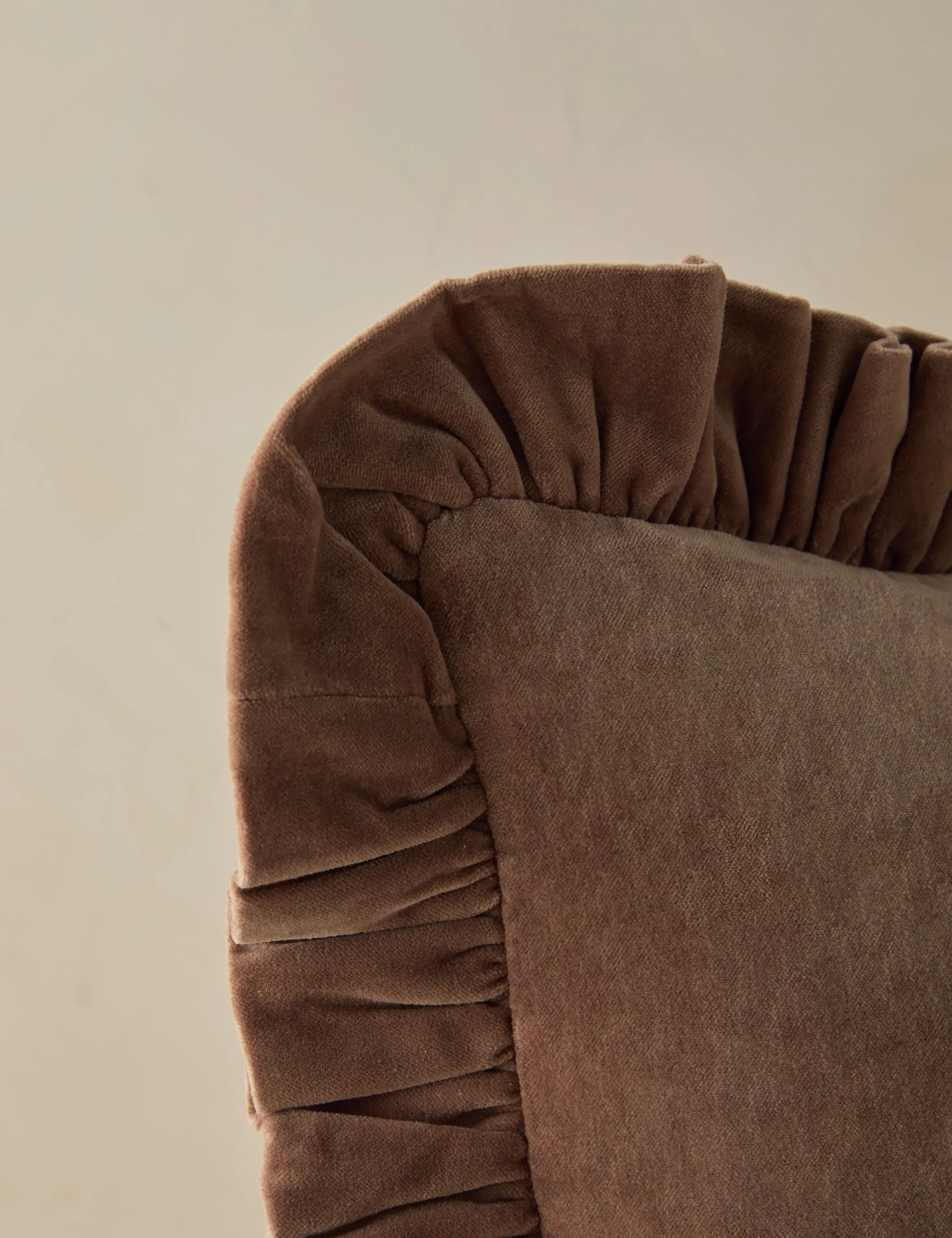 Mauree Velvet Pillow