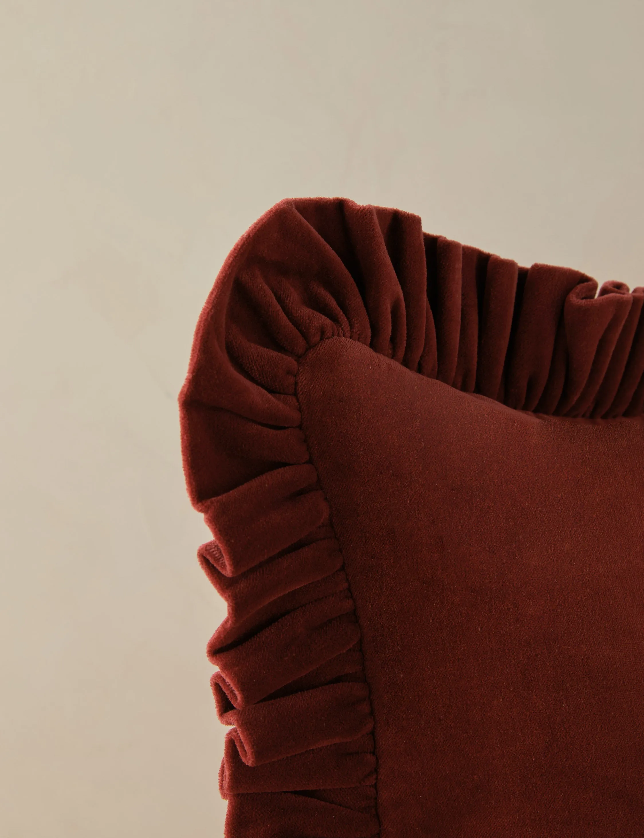 Mauree Velvet Pillow