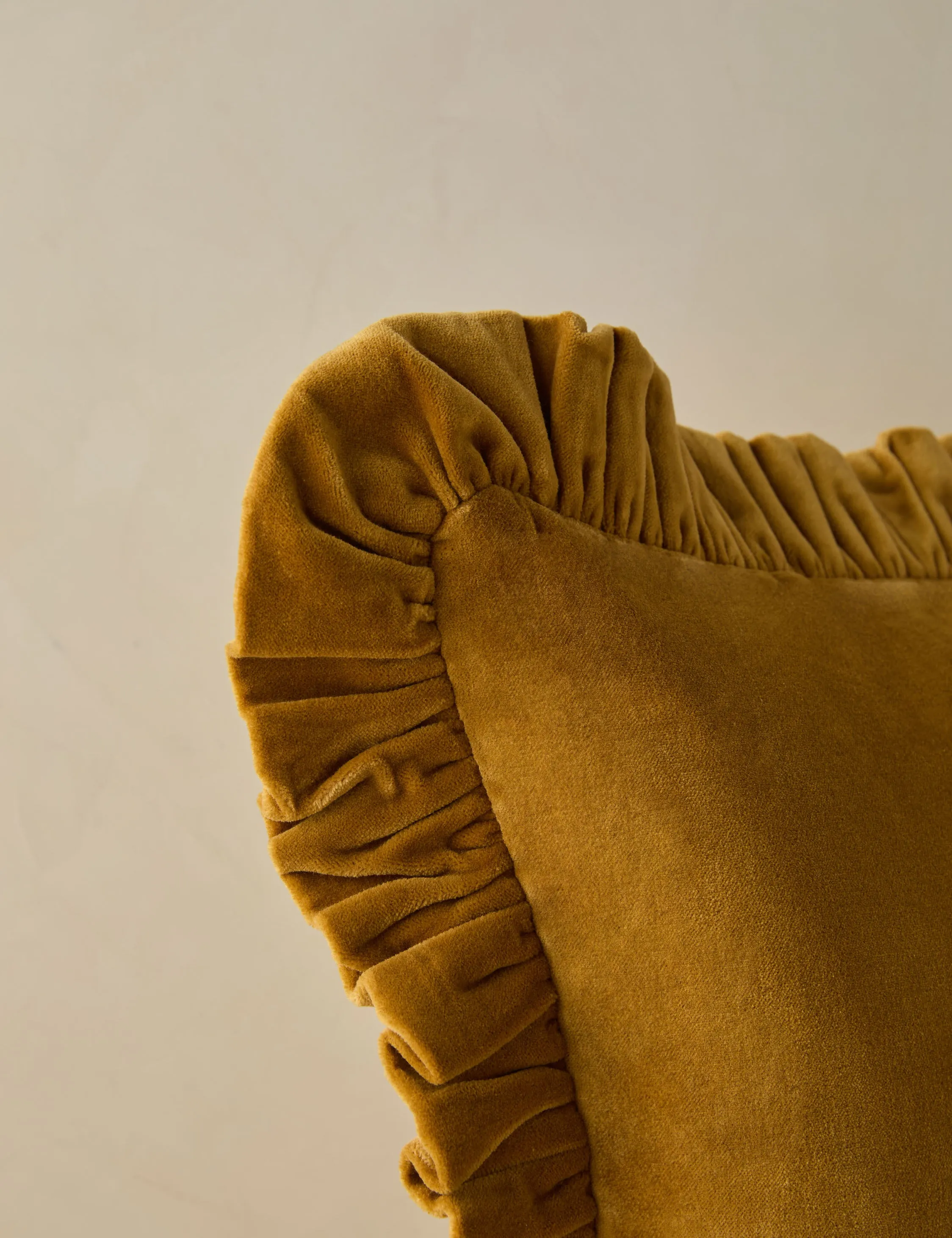 Mauree Velvet Pillow