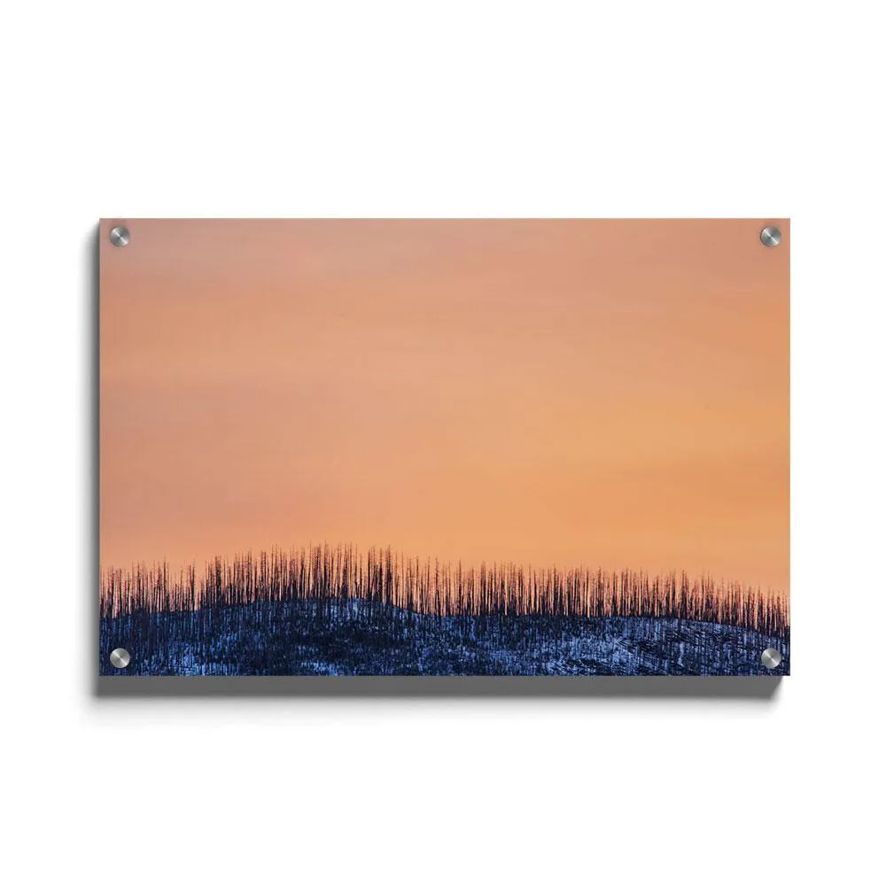 Pastel Zonsopkomst