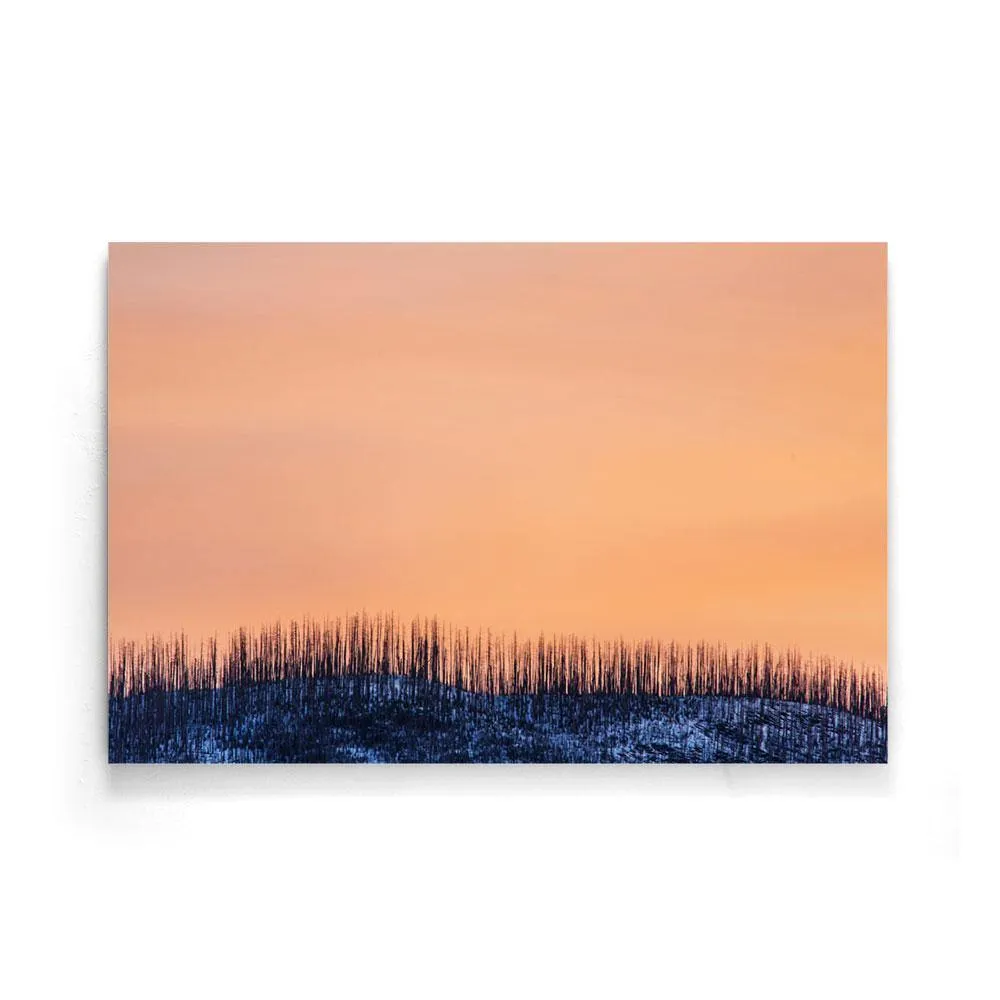 Pastel Zonsopkomst