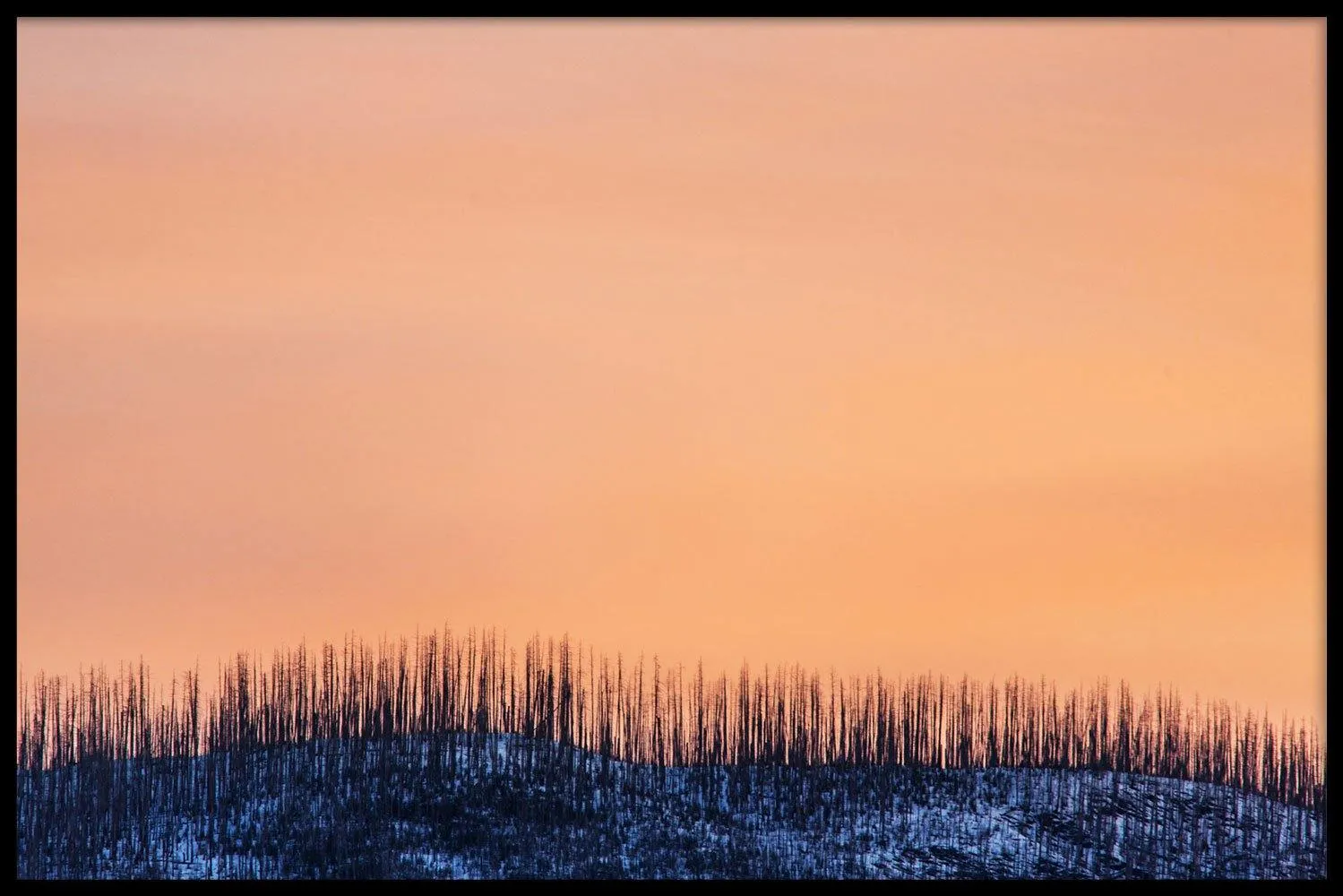 Pastel Zonsopkomst