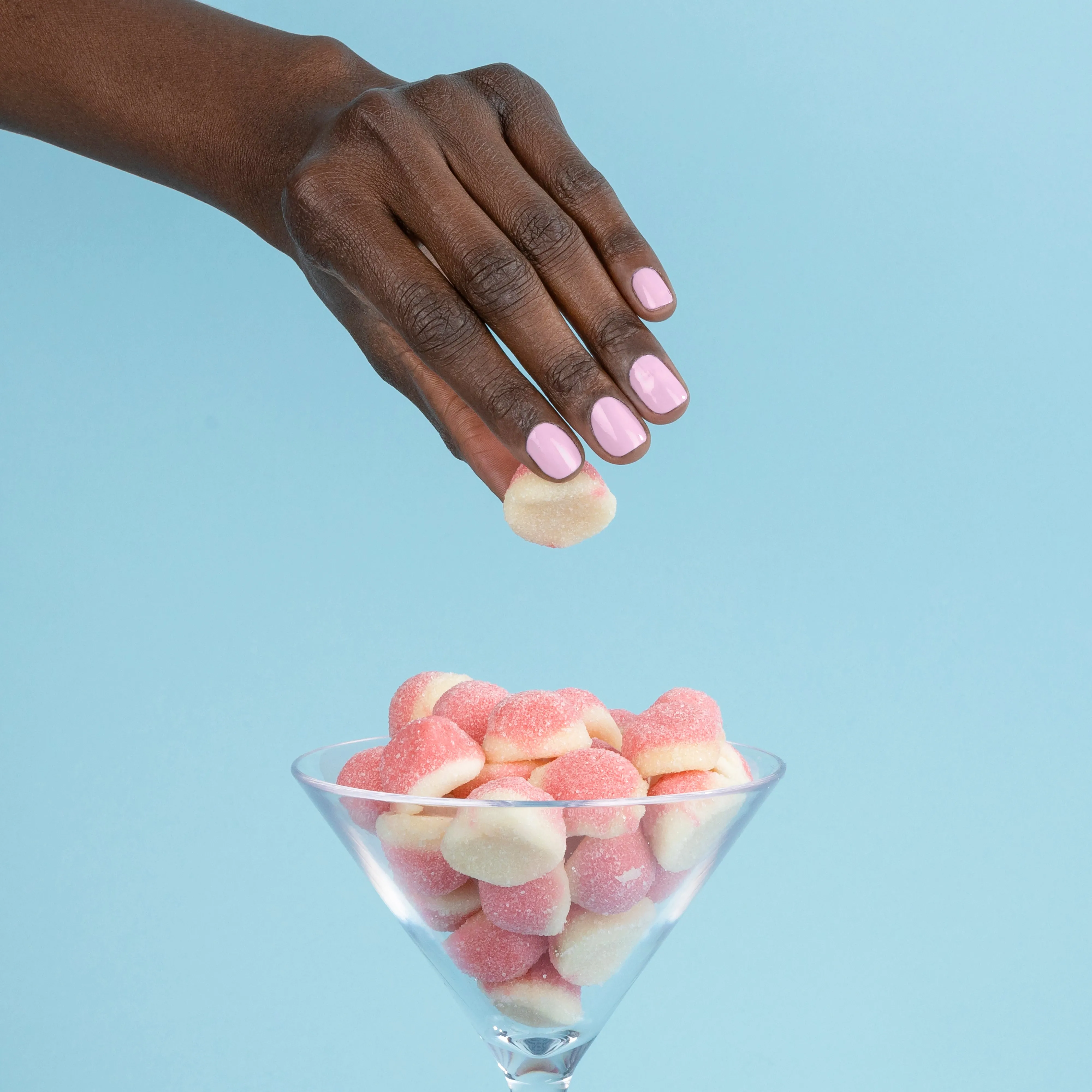 Pink Palm (Professional)