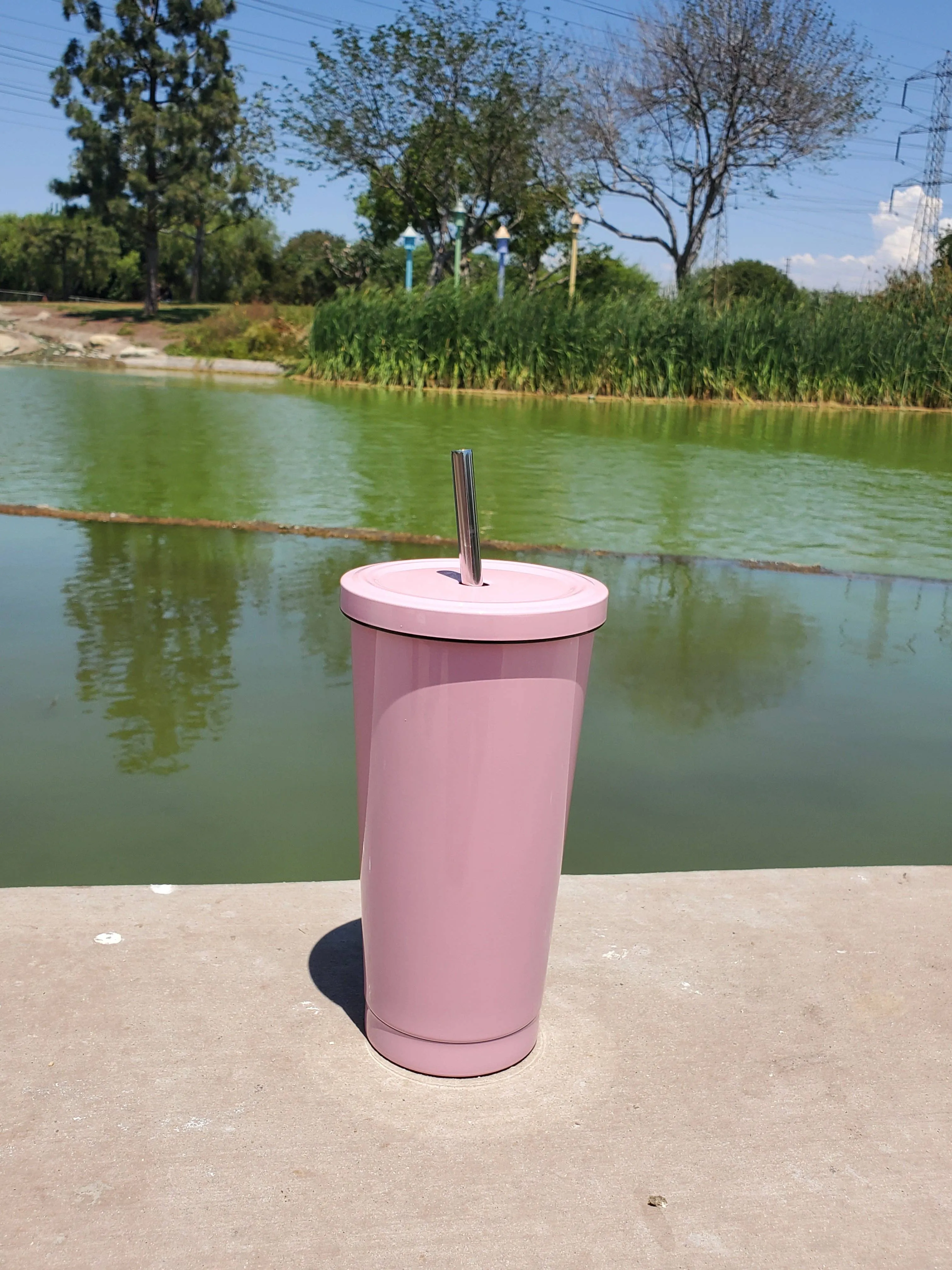 Pink Stainless Steel Tumbler - 16.9 oz