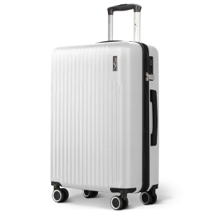 Vacay 24" Suitcase in Silver